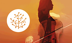 Festival de Musique de Sully et du Loiret